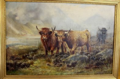 Oil Painting, Highland Cattle
