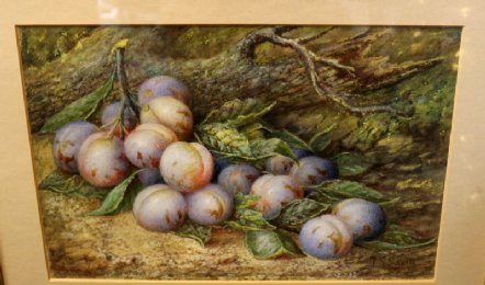 Oil Painting of Damsons 