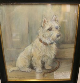 West Highland Terrier - SOLD